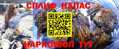 ECSTASY Кандалакша