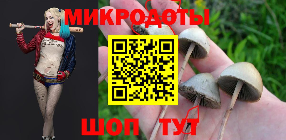 Галлюциногенные грибы Magic Shrooms Бирск