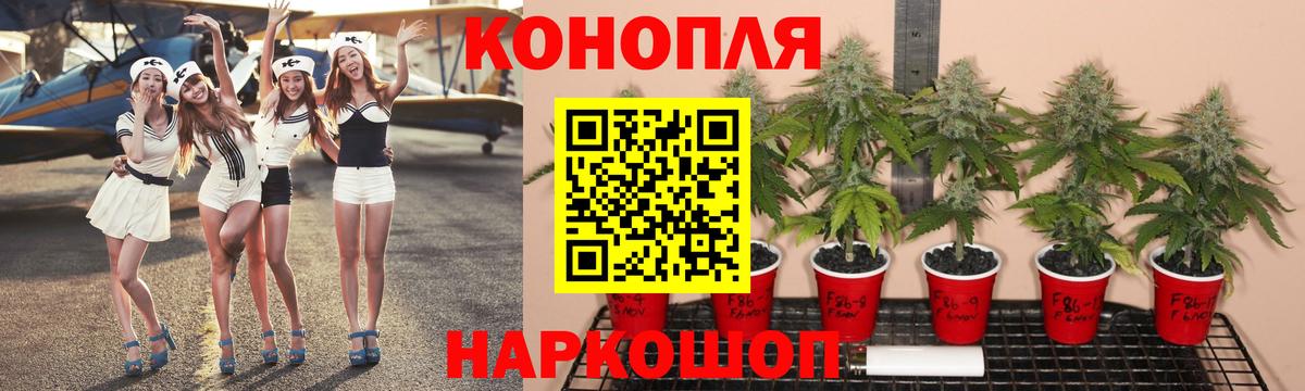 Шишки марихуана марихуана  Бошки марихуана Bruce Banner  Вход с VPN  Бошки Шишки ГИДРОПОН  Бирск 